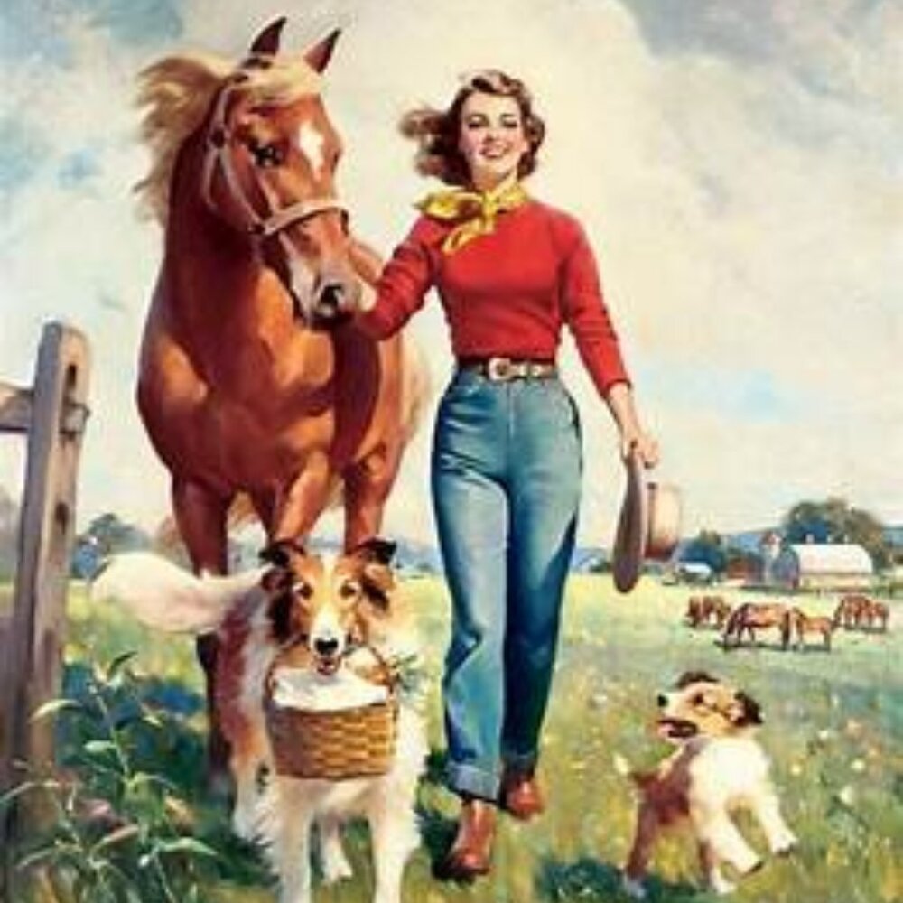 Howdy! KEEP SCROLLING! - Picture 9 of 12